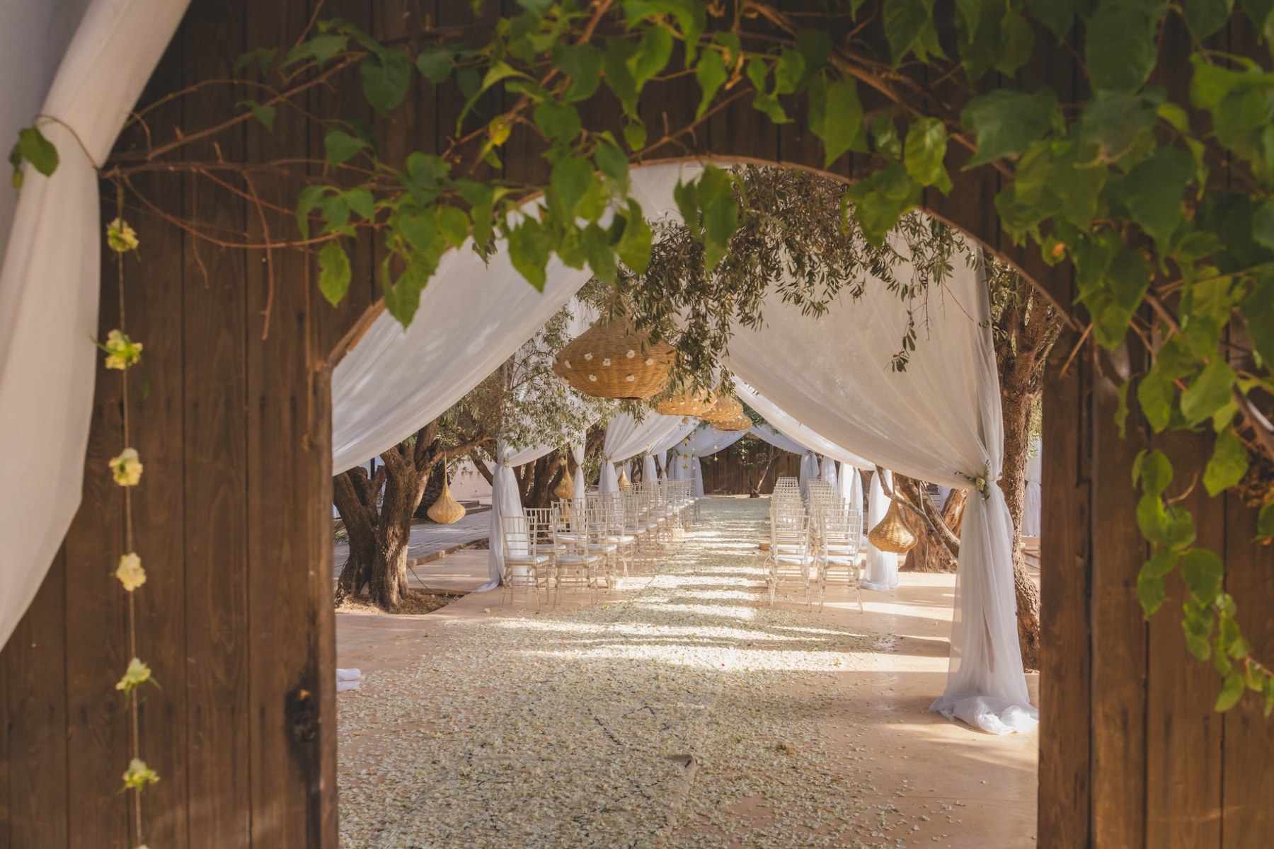 Ceremony aisle shaded by olive trees in Marrakech